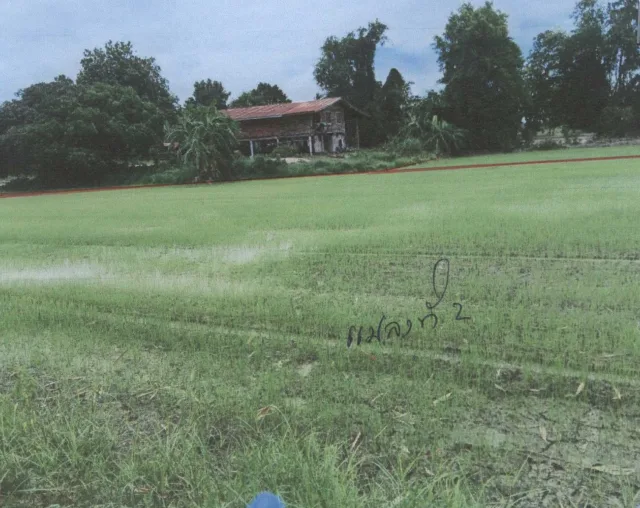 ขายทอดตลาด ที่ดินว่างเปล่า ต.ท่าขมิ้น อ.โพทะเล จ.พิจิตร