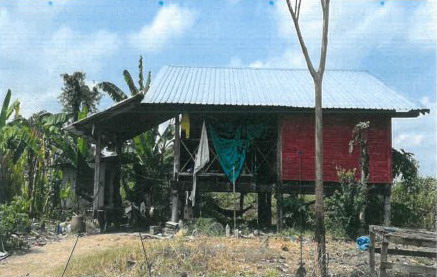 ขายทอดตลาด ที่ดินพร้อมสิ่งปลูกสร้าง ต.ท่าขมิ้น อ.โพทะเล จ.พิจิตร