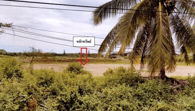 ขายทอดตลาด ที่ดินพร้อมสิ่งปลูกสร้าง ต.เกาะนางคำ อ.ปากพะยูน จ.พัทลุง