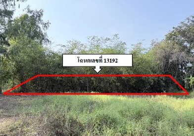 ขายทอดตลาด ที่ดินว่างเปล่า จ.พิจิตร