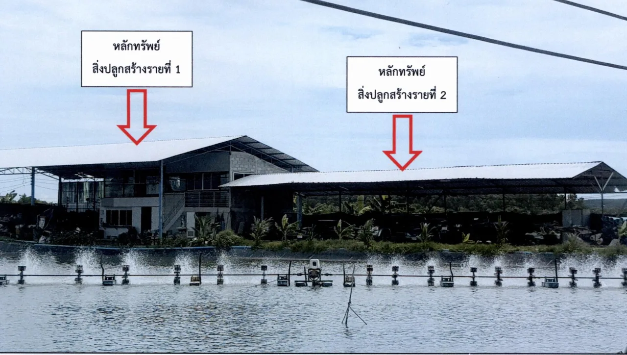 ขายทอดตลาด ที่ดินพร้อมสิ่งปลูกสร้าง ต.เกาะนางคำ อ.ปากพะยูน จ.พัทลุง