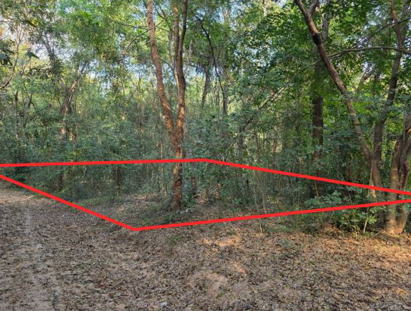 ขายทอดตลาด ที่ดินว่างเปล่า ต.(บรบือ) หนองสิม อ.บรบือ จ.มหาสารคาม