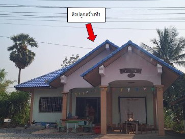 ขายทอดตลาด ที่ดินพร้อมสิ่งปลูกสร้าง ต.ทะนง อ.โพทะเล จ.พิจิตร