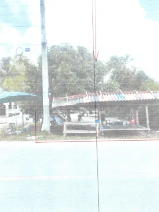 รูปทรัพย์ 2