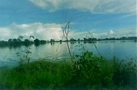 ขายทอดตลาด ที่ดินว่างเปล่า จ.สุพรรณบุรี