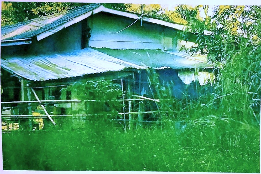 ขายทอดตลาด ที่ดินพร้อมสิ่งปลูกสร้าง ต.บ้านบุ่ง อ.เมืองพิจิตร จ.พิจิตร