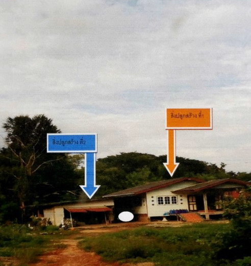 ขายทอดตลาด ที่ดินพร้อมสิ่งปลูกสร้าง ต.บ้านน้อย อ.โพทะเล จ.พิจิตร