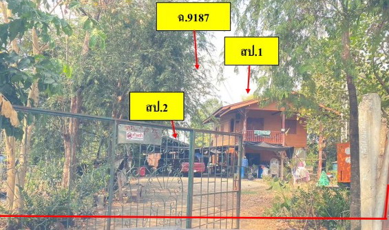 ขายทอดตลาด ที่ดินพร้อมสิ่งปลูกสร้าง ต.วังงิ้วใต้ อ.ดงเจริญ จ.พิจิตร