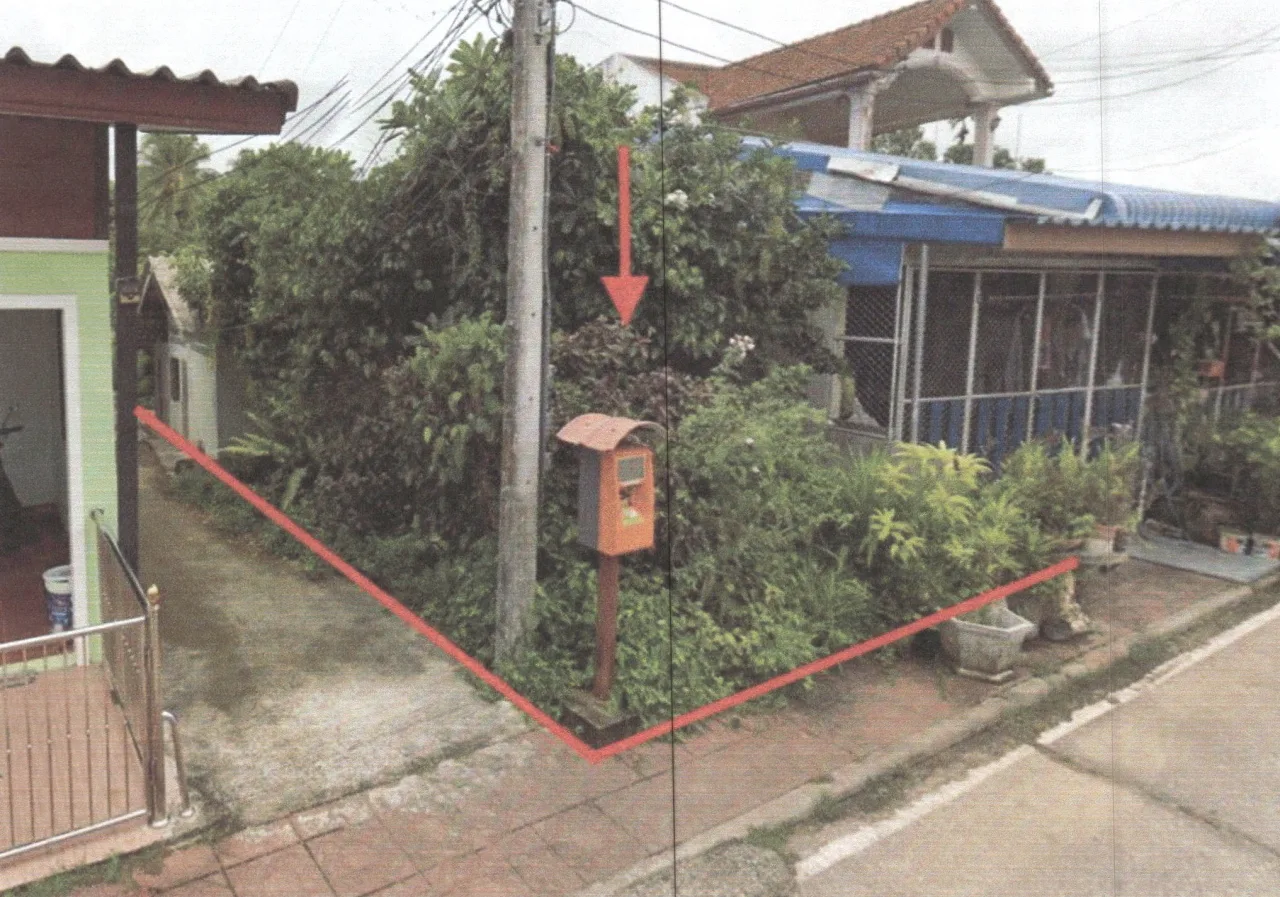 ขายทอดตลาด ที่ดินพร้อมสิ่งปลูกสร้าง ต.ควนขนุน อ.ควนขนุน จ.พัทลุง