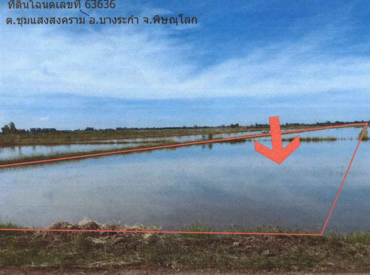 ขายทอดตลาด ที่ดินว่างเปล่า จ.พิษณุโลก