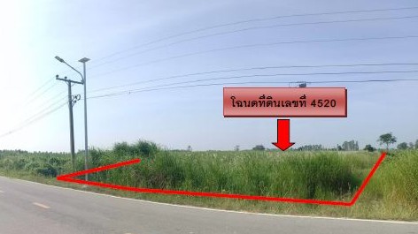ขายทอดตลาด ที่ดินว่างเปล่า ต.นิคมพัฒนา อ.บางระกำ จ.พิษณุโลก