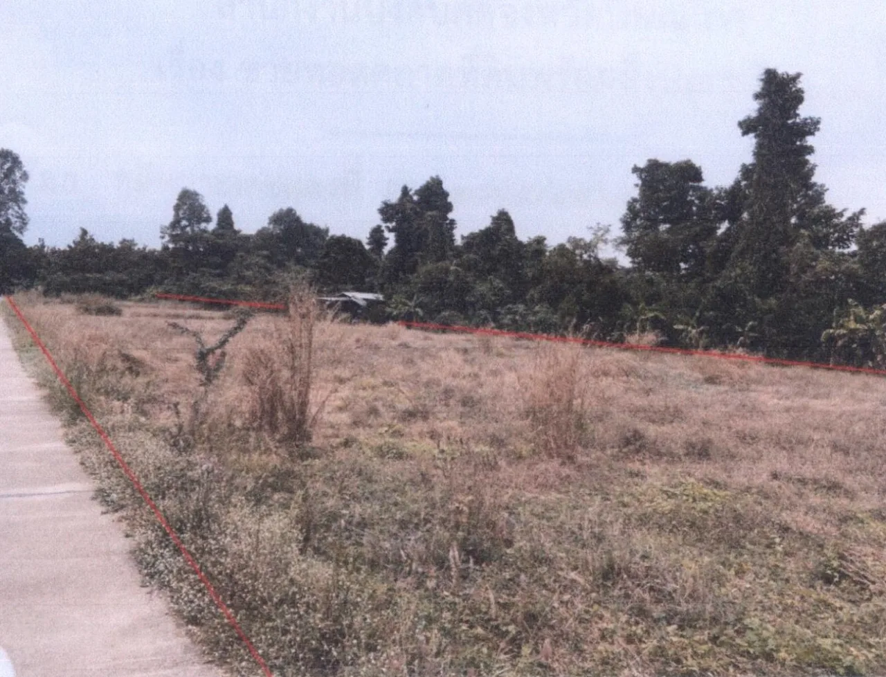 ขายทอดตลาด ที่ดินพร้อมสิ่งปลูกสร้าง ต.หนองแขม อ.พรหมพิราม จ.พิษณุโลก