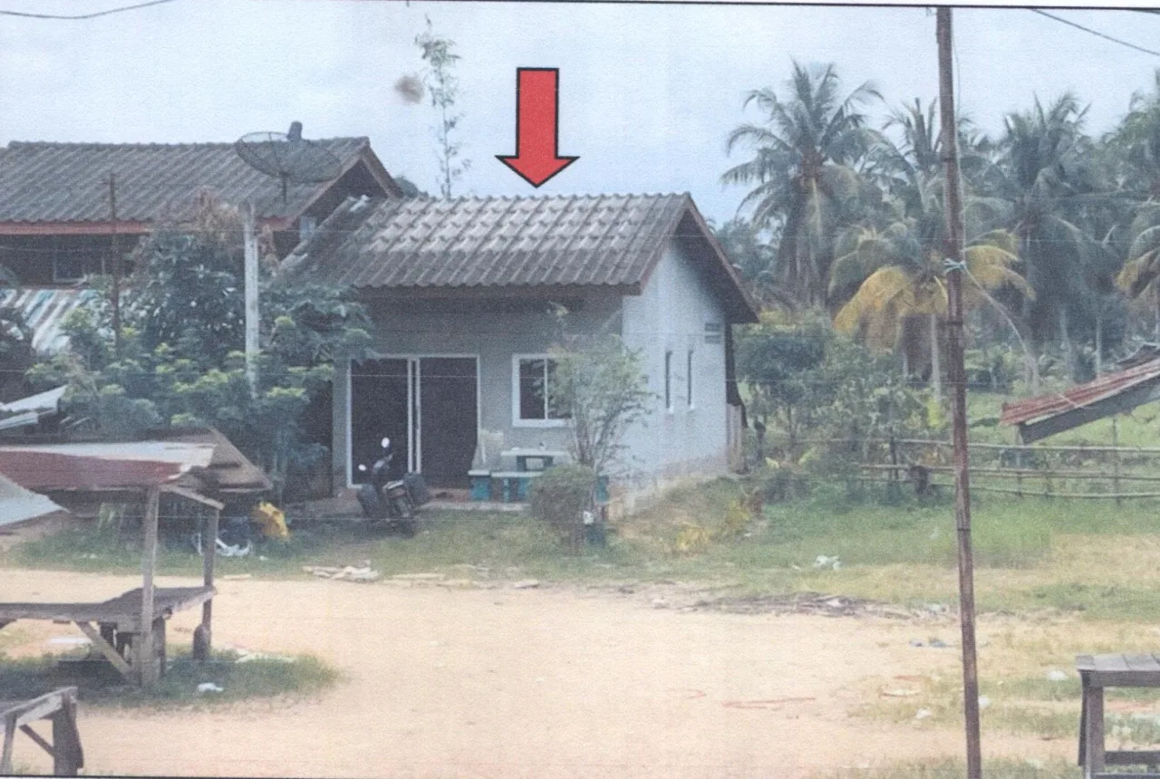 ขายทอดตลาด ที่ดินพร้อมสิ่งปลูกสร้าง ต.โคกทราย อ.ป่าบอน จ.พัทลุง