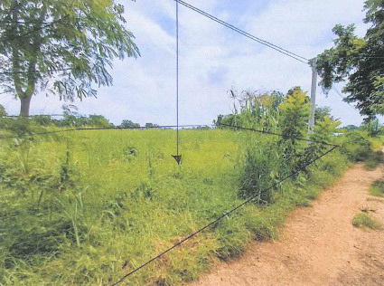 ขายทอดตลาด ที่ดินว่างเปล่า ต.บึงนาราง อ.โพทะเล จ.พิจิตร