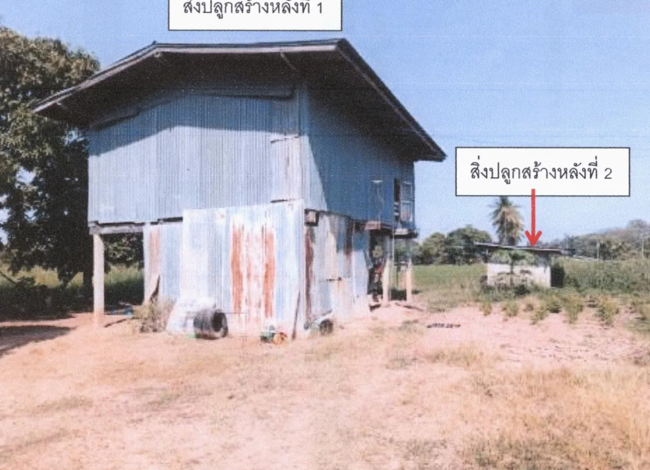 ขายทอดตลาด ที่ดินพร้อมสิ่งปลูกสร้าง ต.ตลุกเทียม อ.พรหมพิราม จ.พิษณุโลก