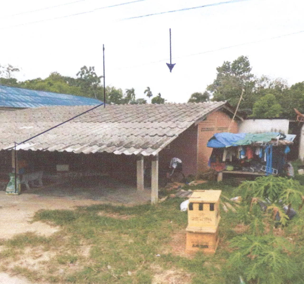 ขายทอดตลาด ที่ดินพร้อมสิ่งปลูกสร้าง ต.ป่าบอน อ.ป่าบอน จ.พัทลุง