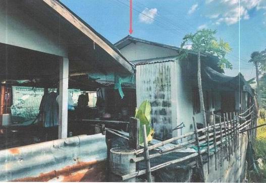 ขายทอดตลาด ที่ดินพร้อมสิ่งปลูกสร้าง ต.ยางน้อย อ.โกสุมพิสัย จ.มหาสารคาม