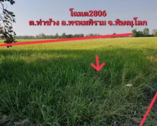 รูปทรัพย์ 2