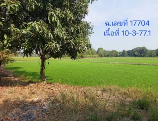 รูปทรัพย์ 1