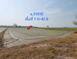 รูปทรัพย์ 2