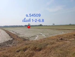 รูปทรัพย์ 4