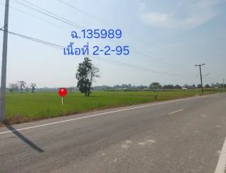 รูปทรัพย์ 5