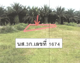 รูปทรัพย์ 1