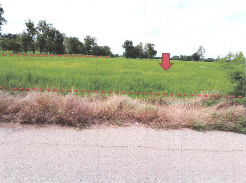 ขายทอดตลาด ที่ดินว่างเปล่า ต.วังหลุม อ.ตะพานหิน จ.พิจิตร