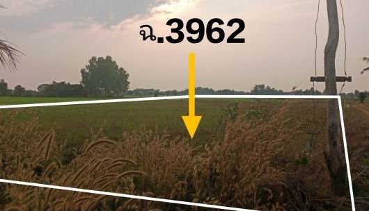 ขายทอดตลาด ที่ดินว่างเปล่า ต.ท่างาม อ.วัดโบสถ์ จ.พิษณุโลก