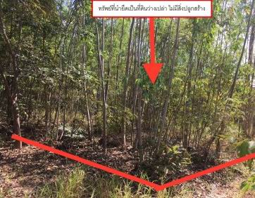 ขายทอดตลาด ที่ดินว่างเปล่า ต.แวงน่าง อ.เมืองมหาสารคาม จ.มหาสารคาม