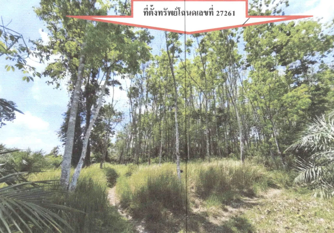 ขายทอดตลาด ที่ดินว่างเปล่า ต.โคกทราย อ.ป่าบอน จ.พัทลุง
