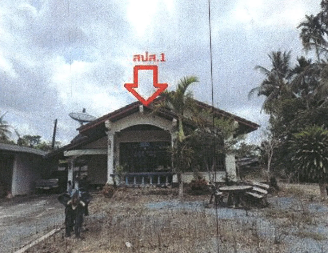 ขายทอดตลาด ที่ดินพร้อมสิ่งปลูกสร้าง ต.นาขยาด อ.ควนขนุน จ.พัทลุง