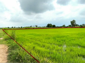 ขายทอดตลาด ที่ดินว่างเปล่า จ.พิษณุโลก