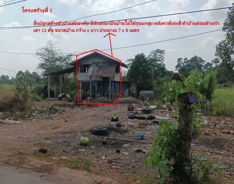 ขายทอดตลาด ที่ดินพร้อมสิ่งปลูกสร้าง ต.พันชาลี อ.วังทอง จ.พิษณุโลก