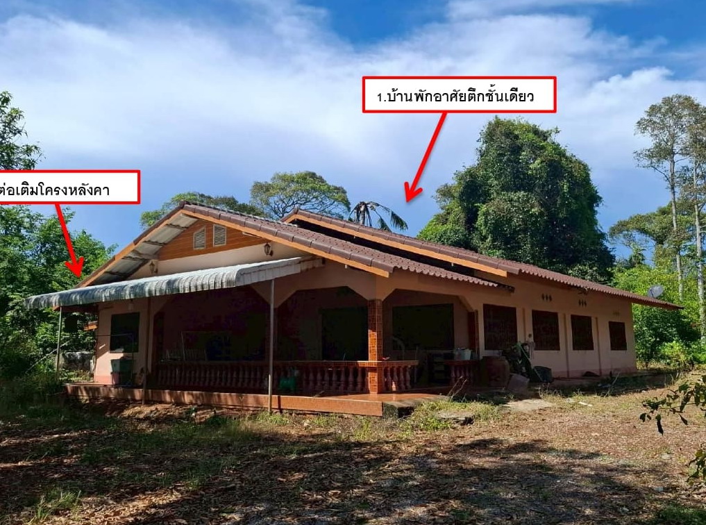 ขายทอดตลาด ที่ดินพร้อมสิ่งปลูกสร้าง ต.สนามไชย อ.กิ่งอำเภอนายายอาม จ.จันทบุรี