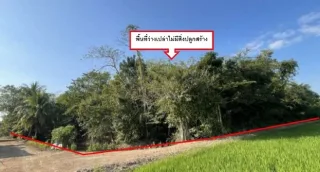 รูปทรัพย์ 2