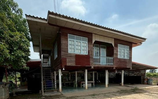 ขายทอดตลาด ที่ดินว่างเปล่า ต.ท่าบัว อ.โพทะเล จ.พิจิตร