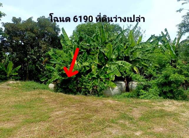 ขายทอดตลาด ที่ดินว่างเปล่า ต.โนนแดง อ.บรบือ จ.มหาสารคาม