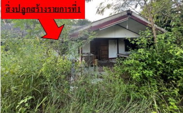 ขายทอดตลาด ที่ดินพร้อมสิ่งปลูกสร้าง ต.เวียงชัย อ.พยัคฆภูมิพิสัย จ.มหาสารคาม