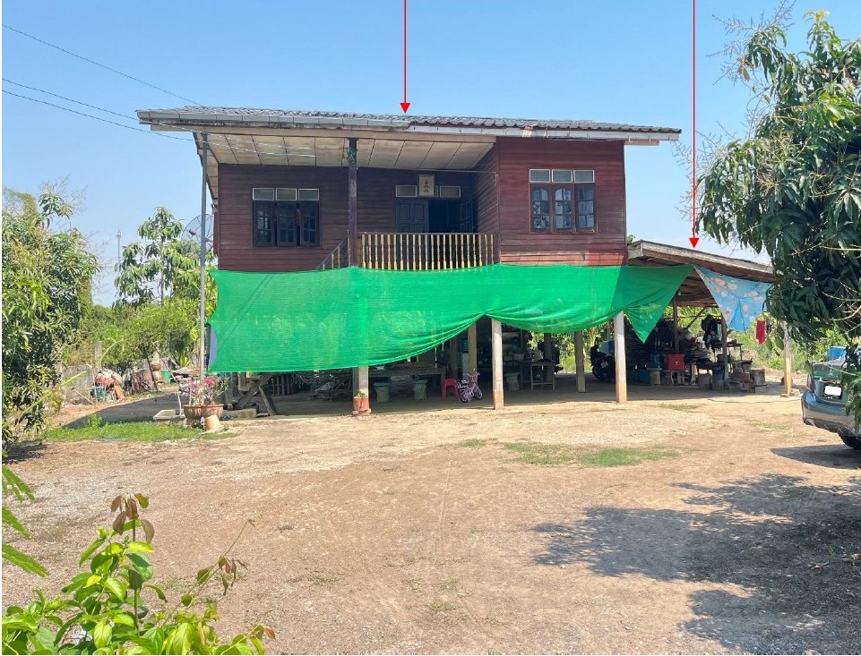 ขายทอดตลาด ที่ดินพร้อมสิ่งปลูกสร้าง ต.ท่าบัว อ.โพทะเล จ.พิจิตร