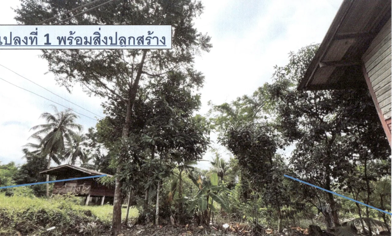 ขายทอดตลาด ที่ดินพร้อมสิ่งปลูกสร้าง ต.ปรางหมู่ อ.เมืองพัทลุง จ.พัทลุง