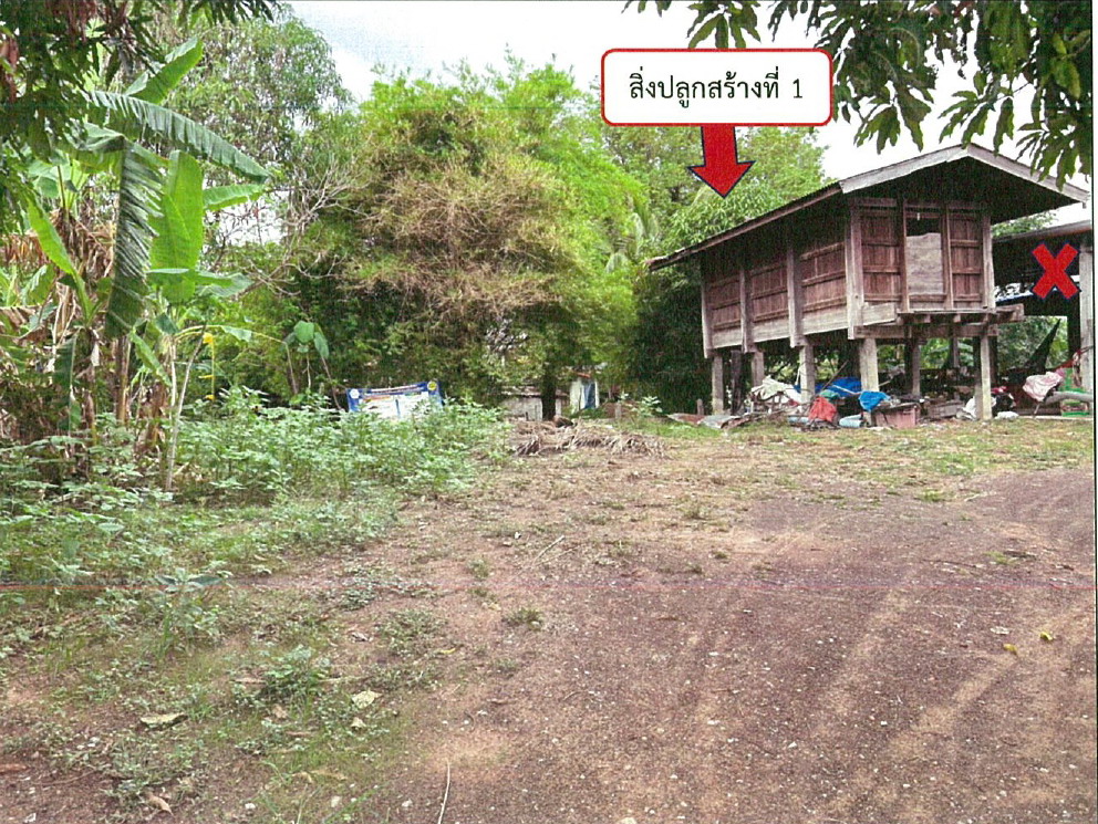 ขายทอดตลาด ที่ดินพร้อมสิ่งปลูกสร้าง ต.หนองซอน อ.เชียงยืน จ.มหาสารคาม