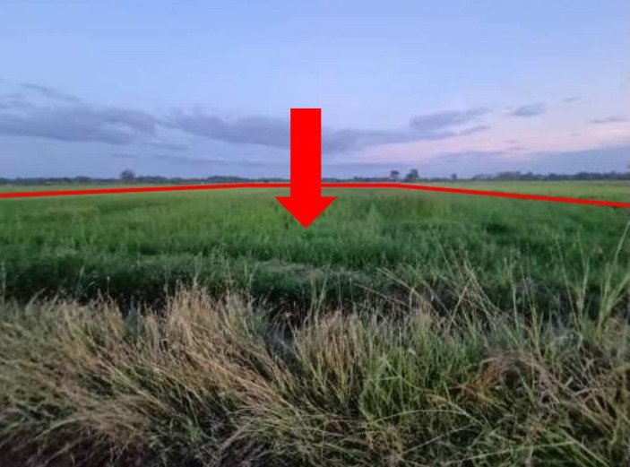 ขายทอดตลาด ที่ดินว่างเปล่า ต.พรหมพิราม อ.พรหมพิราม จ.พิษณุโลก