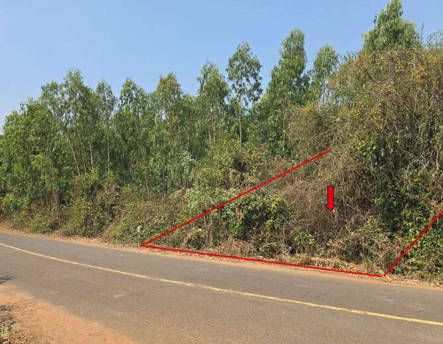 ขายทอดตลาด ที่ดินว่างเปล่า ต.โนนราษี อ.บรบือ จ.มหาสารคาม