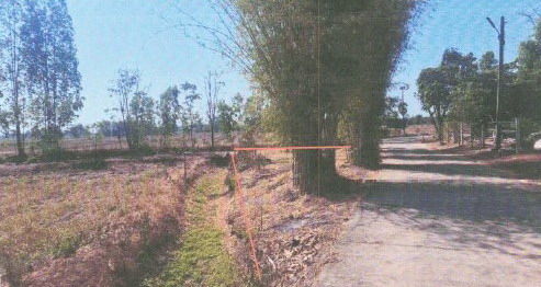 ขายทอดตลาด ที่ดินว่างเปล่า จ.พิจิตร
