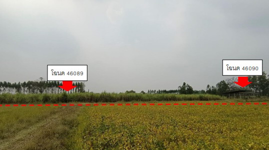 ขายทอดตลาด ที่ดินว่างเปล่า ต.นิคมพัฒนา อ.บางระกำ จ.พิษณุโลก