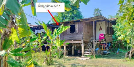 ขายทอดตลาด ที่ดินพร้อมสิ่งปลูกสร้าง ต.โคกสลุด อ.บางกระทุ่ม จ.พิษณุโลก
