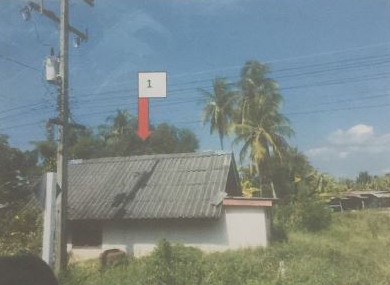 ขายทอดตลาด ที่ดินพร้อมสิ่งปลูกสร้าง ต.บ้านป่า อ.เมืองพิษณุโลก จ.พิษณุโลก