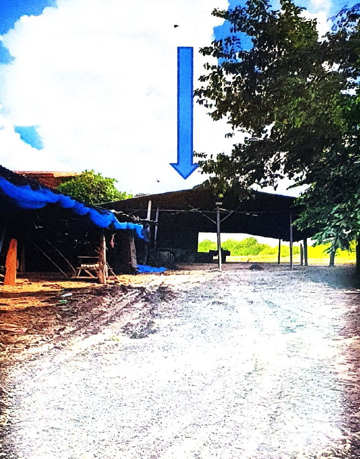 ขายทอดตลาด ที่ดินพร้อมสิ่งปลูกสร้าง ต.หนองบอน อ.โกสุมพิสัย จ.มหาสารคาม