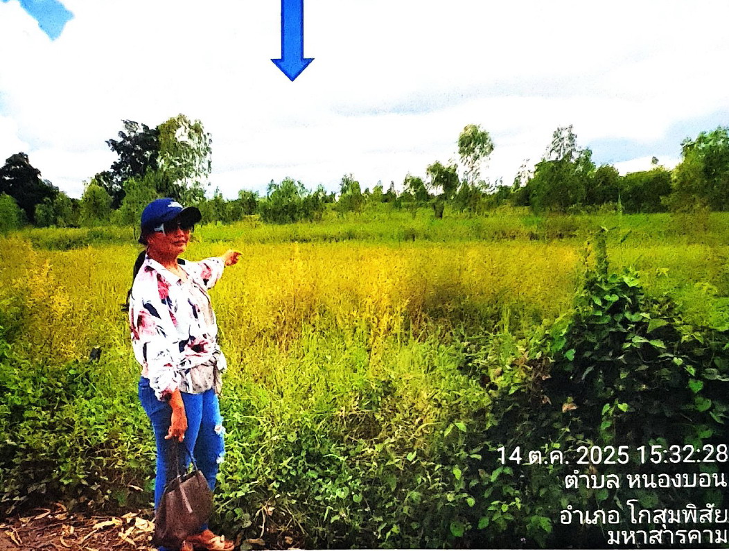 ขายทอดตลาด ที่ดินว่างเปล่า ต.หนองบอน อ.โกสุมพิสัย จ.มหาสารคาม